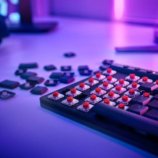 Logitech G515 TKL Lightspeed Gaming-Tastatur QWERTZ Schwarz