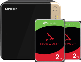 QNAP TS-464-8G + Seagate Ironwolf 2TB Doppelpack