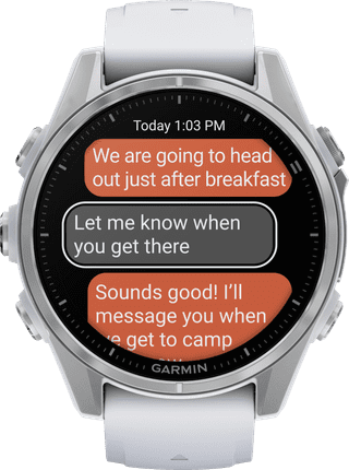 Garmin Fenix 8 Silber/Weiß 43 mm