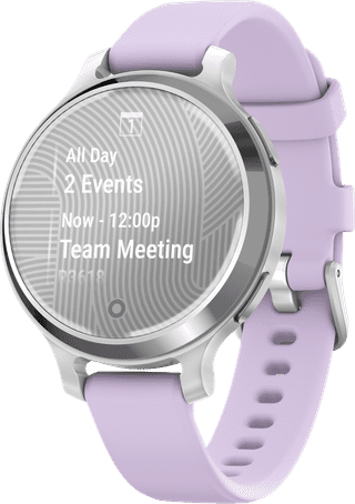 Garmin Lily 2 Active Silver/Purple