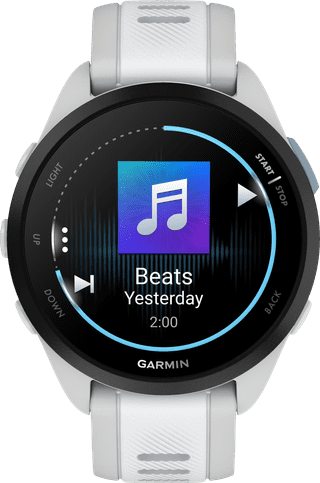 Garmin Forerunner 165 Music Gray/White