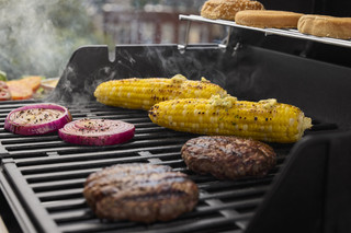 Weber Spirit E-210
