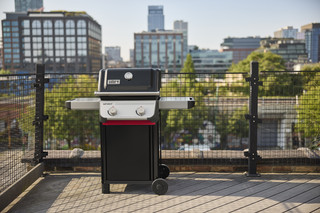 Weber Spirit E-210