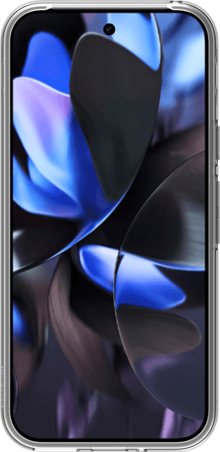 BlueBuilt Google Pixel 9/9 Pro Back Cover Transparent