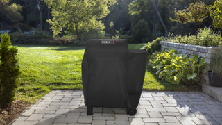 Weber Smoque