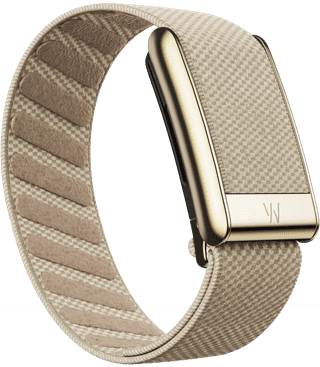 WHOOP 5.0 Peak Schwarz Mitgliedschaft 1 Jahr + WHOOP 5.0 SuperKnit Luxuriöses Armband Beige