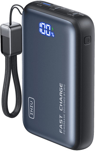 INIU Leopard Power 65W