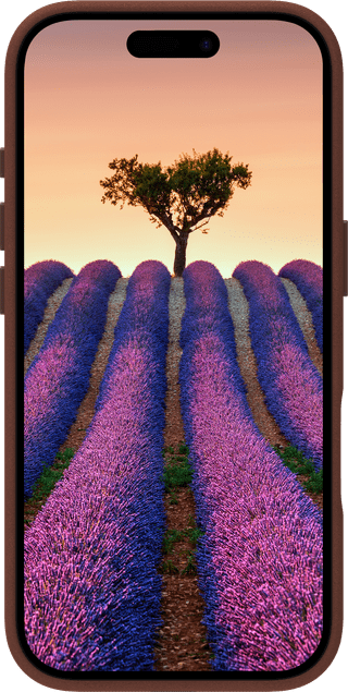 DBramante1928 Roskilde Apple iPhone 17 Backcover mit MagSafe Leder Braun