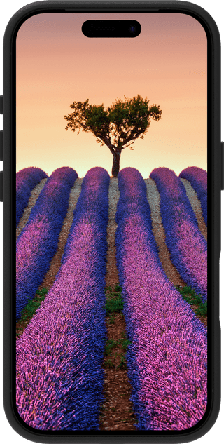 DBramante1928 Roskilde Apple iPhone 17 Pro Backcover mit MagSafe Leder Schwarz