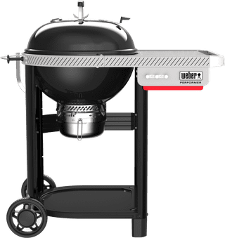 Weber Performer