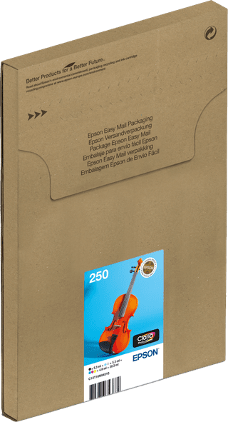 Epson 250 Combo Pack