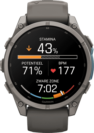 Garmin Fenix 9 Grey 47mm