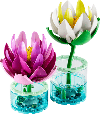 LEGO Botanicals Seerosen 11511