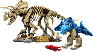LEGO Dinosaurier Set 77985 + 77977