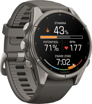 Garmin Fenix 9 Grey 43mm