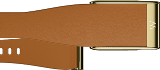 WHOOP MG LeatherLuxe Tapered Band Brown/Gold S/M
