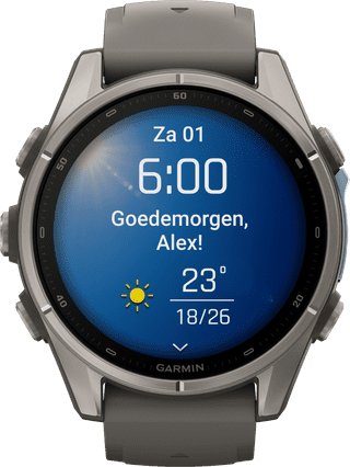 Garmin Fenix 9 Grey 43mm