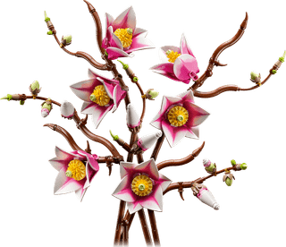 LEGO Botanicals Magnolienzweige 11510