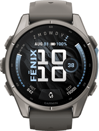 Garmin Fenix 9 Grey 43mm