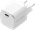 BlueBuilt Power-Delivery-Ladegerät mit USB-C-Anschluss 65 W Weiß Weiß