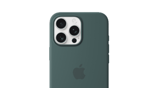 iPhone 16 Pro Max cases