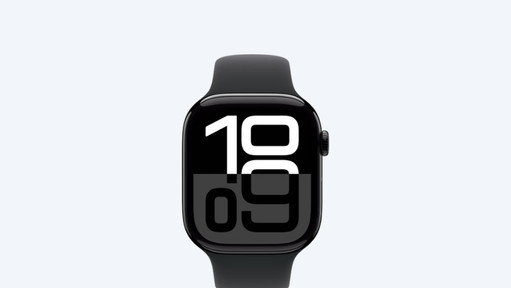 Apple Watch business