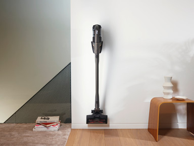 Everything on Miele stick vacuums