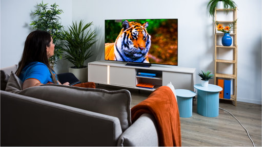 Welcher LG OLED-Fernseher passt zu meiner Nutzung?