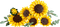 LEGO Botanicals Sonnenblumen 11502