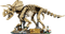 LEGO Jurassic World Dinosaurier-Fossilien: Triceratops 77985