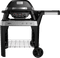 Weber Pulse 2000 mit Untergestell