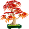 LEGO Botanicals Japanischer Roter Ahorn Bonsai-Baum 10348