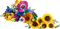 Wildblumen und Sonnenblumen Set