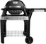 Weber Pulse 2000 mit Untergestell