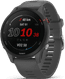 Garmin Forerunner 255 Dark Gray