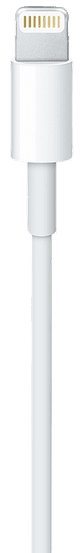 Apple Lightning to USB-A Cable 1m detail