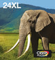 Epson 24XL Patronen Multipack Main Image