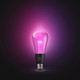 Philips Hue Lightguide Edison White & Color E27 visueller lieferant