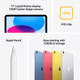 Apple iPad (2025) 11 inches 512GB WiFi Blue visual supplier