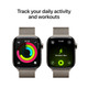 Apple Watch Series 11 5G 42mm Titanium Natural Milanese Loop visual supplier