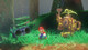 Super Mario Odyssey produkt in gebrauch